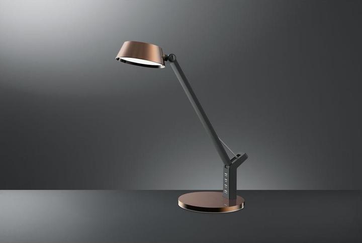 Image du produit Hansa Lampe de bureau Glow cuivre 8 W (480 lm)