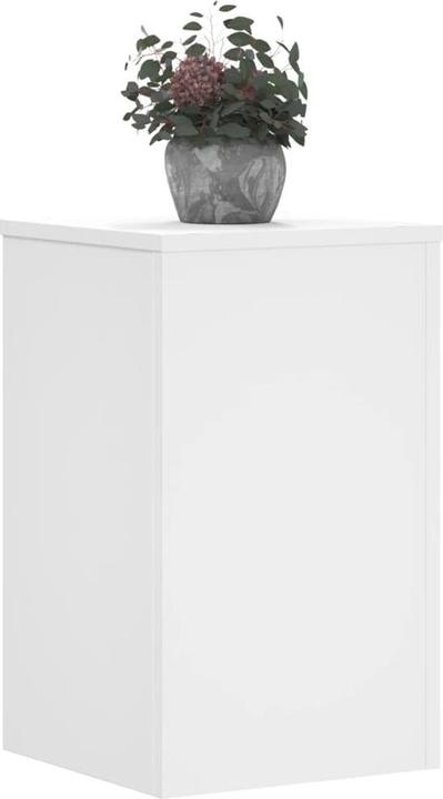 Image du produit vidaXL Support pour plantes