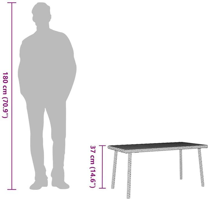 Image du produit vidaXL Garten-Couchtisch