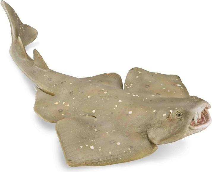 Image du produit Collecta Gewöhnliche Himbeere