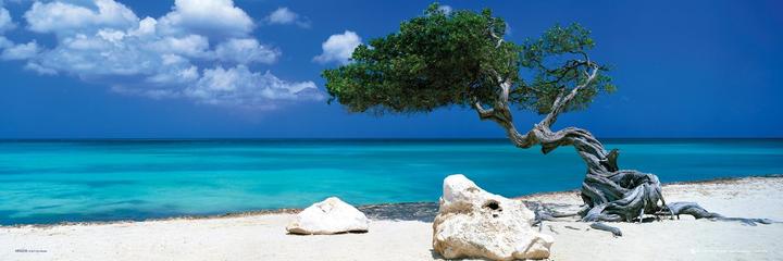 Produktbild Eibert Visual Divi Divi Tree (30 x 90 cm)