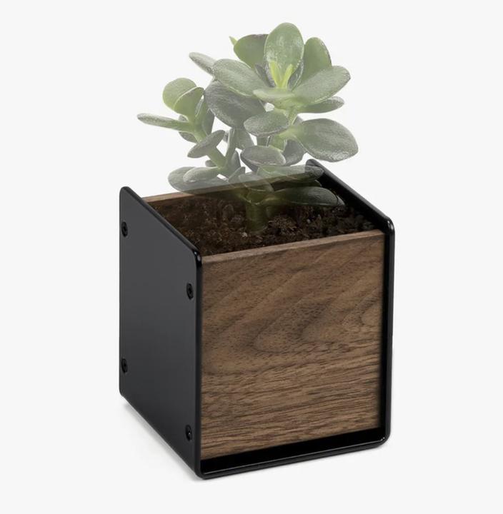 Actual product image Balolo Planter walnut (7 x 7 x 8.20 cm)
