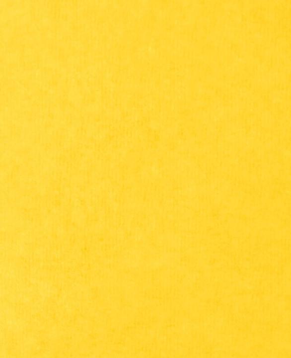 Actual product image Ursus Dragon paper (42 g/m², 1x)