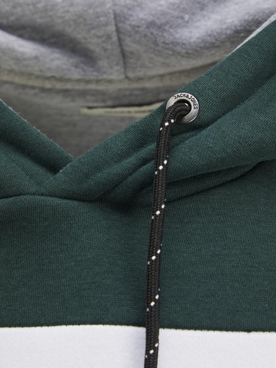 Image du produit Jack & Jones Sweat à capuche avec logo en couleur (XL)