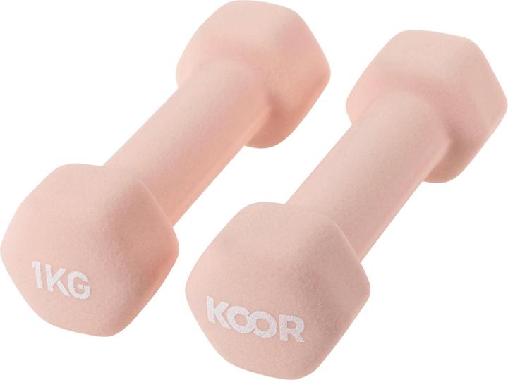 2 x 1 kg