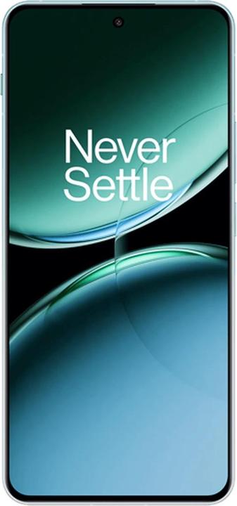 Actual product image OnePlus Nord 4 (256 GB, Oasis Green, 6.74", Dual SIM, 0.00 Mpx, 5G)