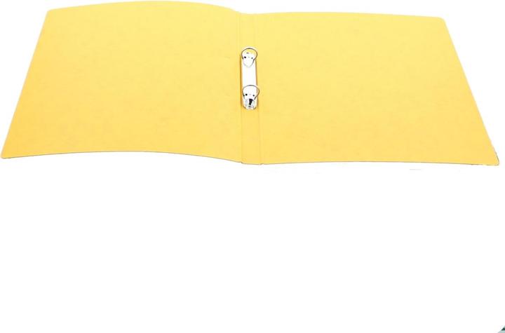 Actual product image Pagna 44096-05 Ring binder (A4, 23 mm)