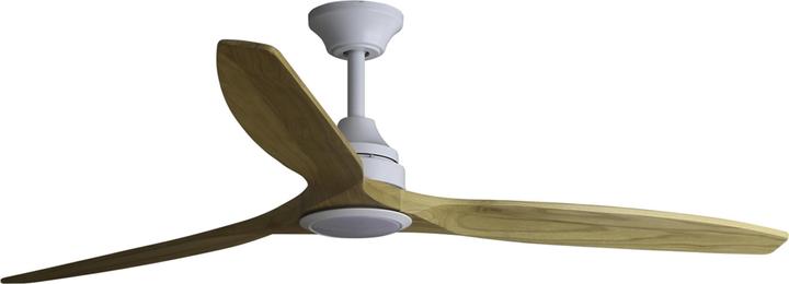 Kiefer, Kiefer / Pinie