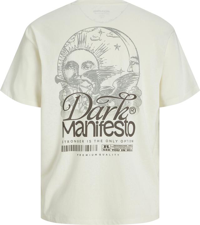 Image du produit Jack & Jones Jordark Tee Ss Crew Neck Ft Styd Aw24 (XS)