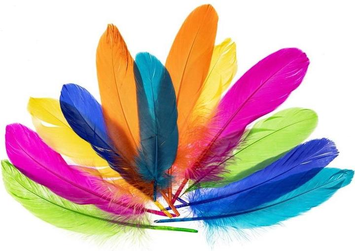 Produktbild Brewis Gänsefedern 15-20 cm lang