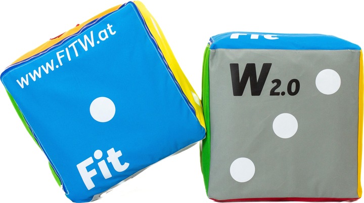 Immagine prodotto FitW Fitness Cube 2.0