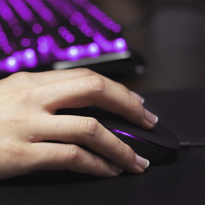 Immagine prodotto SteelSeries Rivale 310 (Cablato)