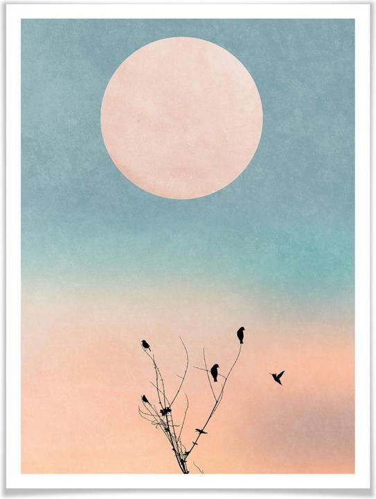 Image du produit Trenddeko Une matinée chaude (50 x 60 cm)