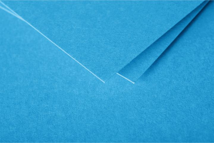 Actual product image Pollen Envelopes (110 x 220 mm, 20 x)