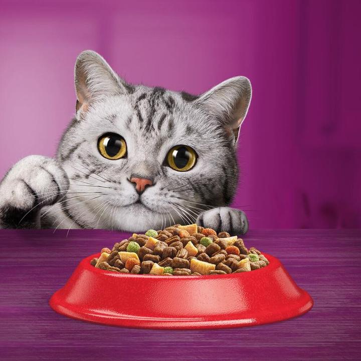 Actual product image Whiskas Dry Beef Selection 1+ 950g (Adult, 1 pcs., 950 g)