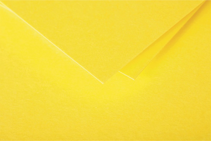 Actual product image Pollen Envelopes (C5, 20 x)
