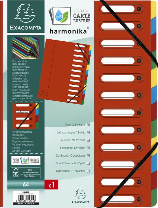 Actual product image Exacompta HARMONIKA - A4 file folders (A4, 1 x)