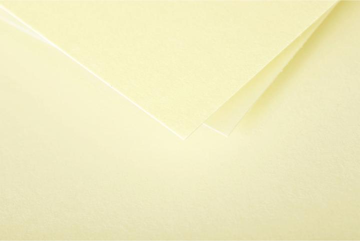 Produktbild Pollen Umschläge (110 x 220 mm, 20 x)