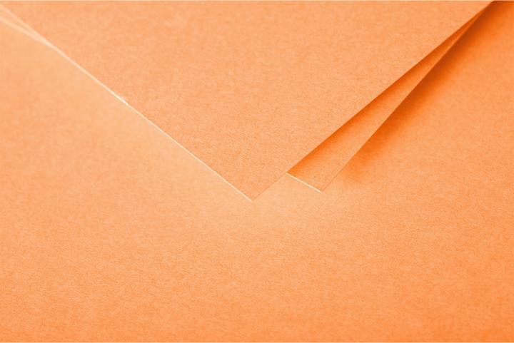 Produktbild Pollen Karten (210 g/m², 106 x 213 mm)