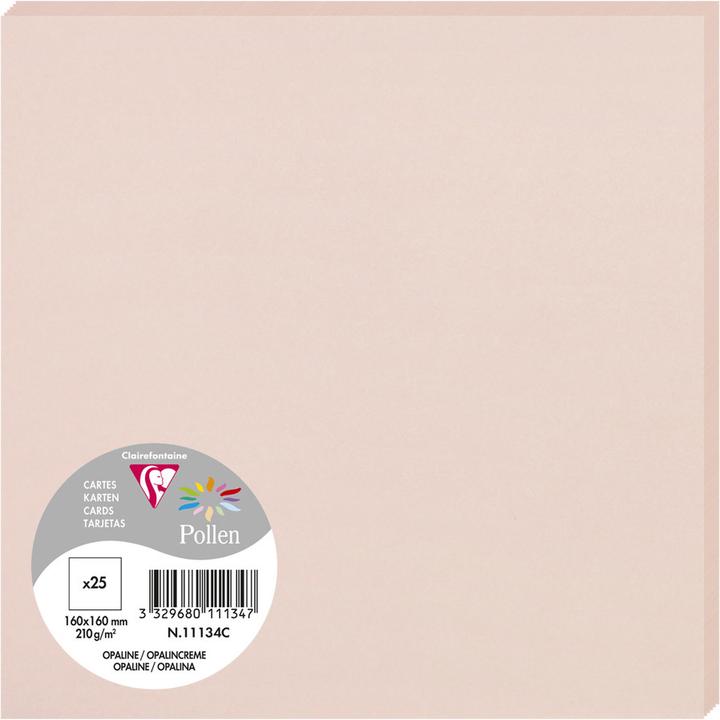 Clairefontaine Karten (20x)
