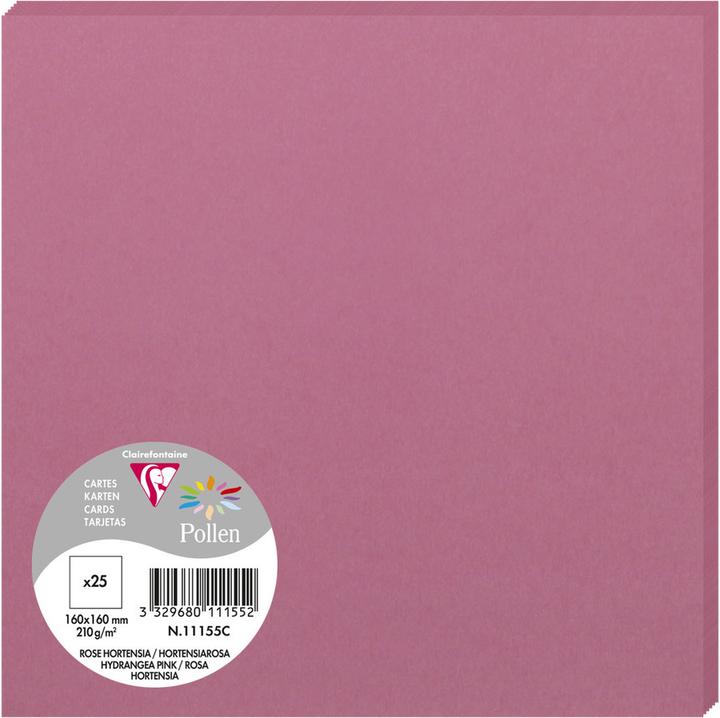 Pollen Cards (160 x 160 mm, 20 x)