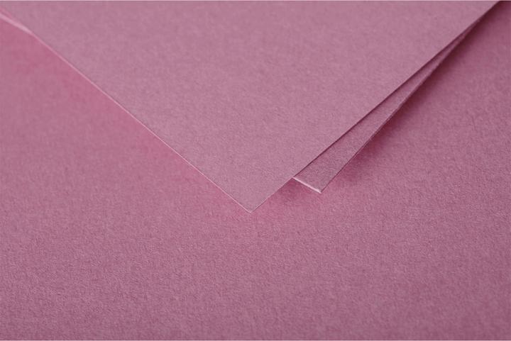 Actual product image Pollen Cards (135 x 135 mm, 1 x)