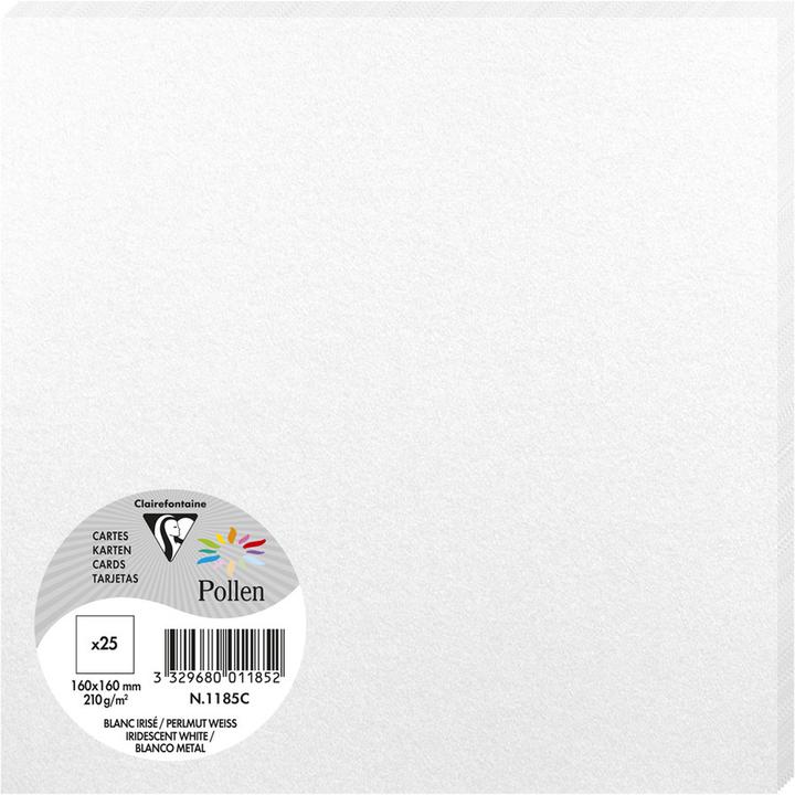 Nacre blanche blanche