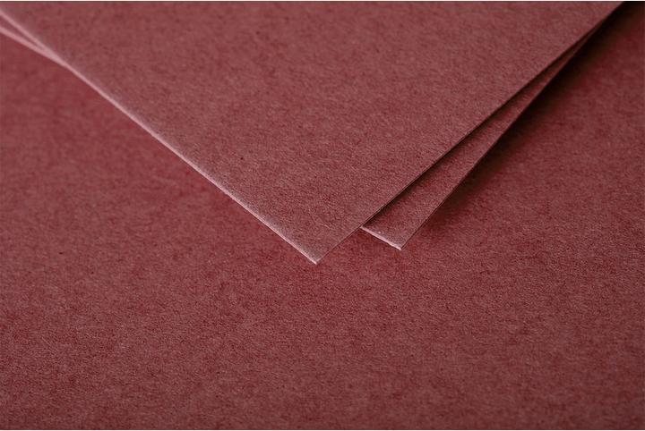 Immagine prodotto Pollen Polline di carte (210 g/m², 25 x, 110 x 155 mm)