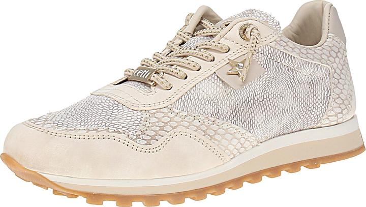 Beige, Serpente Marvil