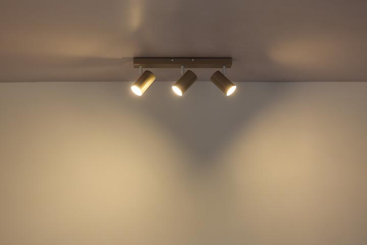 Image du produit Globo Robby (GU10)