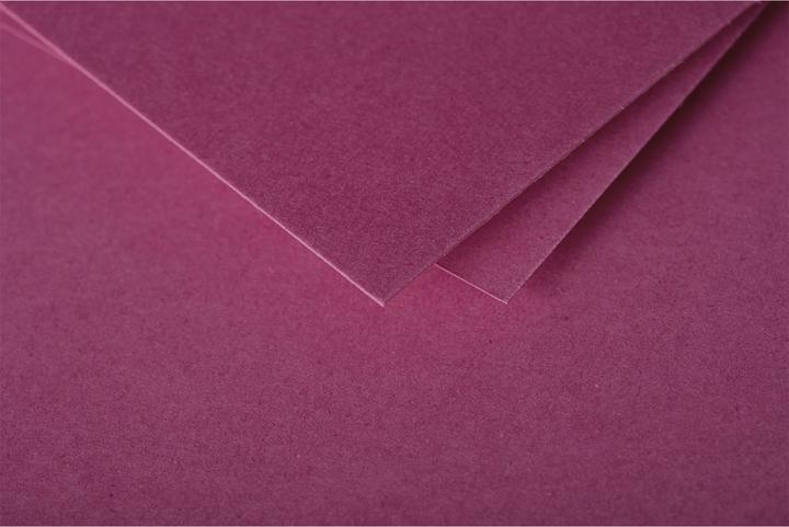 Image du produit Pollen Cartes simple (210 g/m², DL)