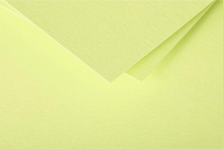 Image du produit Pollen Cartes simple (210 g/m², 106 x 213 mm)