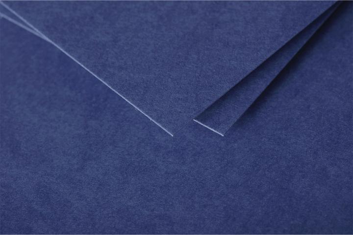 Image du produit Pollen Cartes simple (210 g/m², 7000 x, 160 x 160 mm)