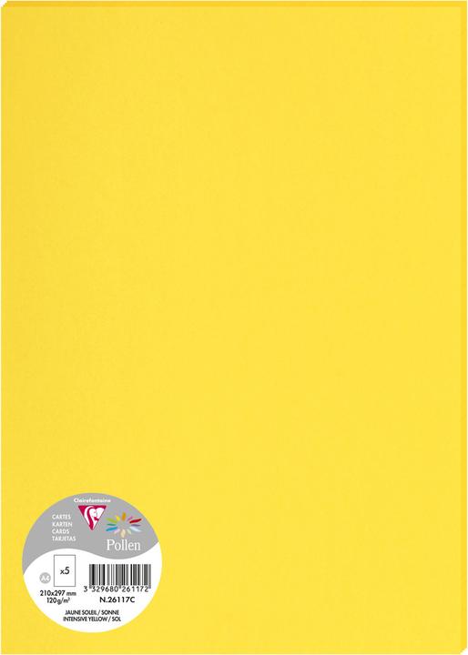 Image du produit Clairefontaine Papier (A4, 120 g/m²)