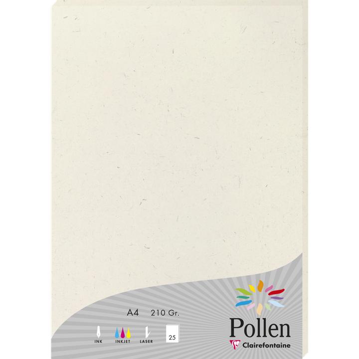 Produktbild Pollen Papier (210 g/m², 25 x, A4)