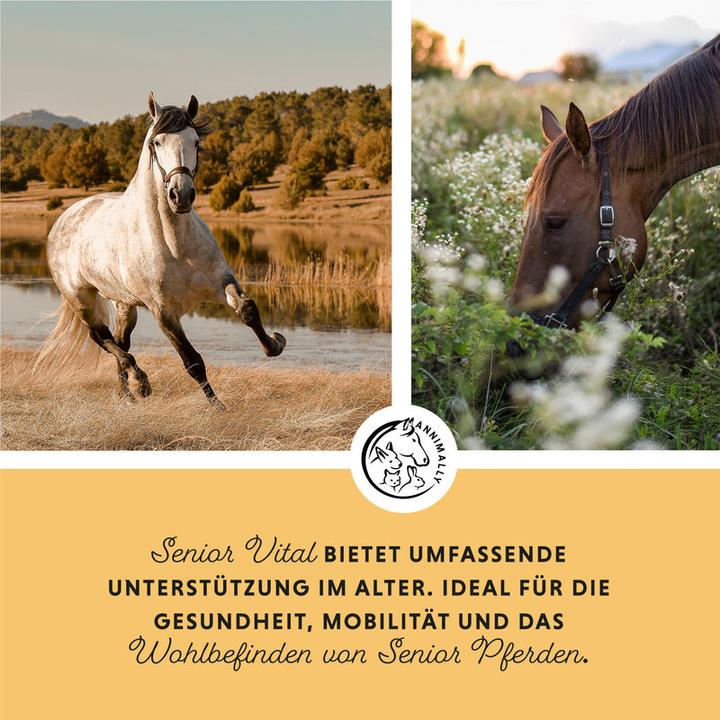 Produktbild Annimally Senior Vital Pulver (800 g)
