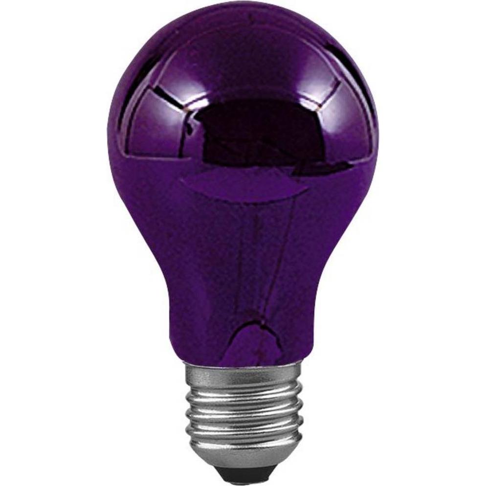 Paulmann, Leuchtmittel, Allgebrauchslampe Schwarzlicht (E27, 75 W, 105 lm, 1 x)