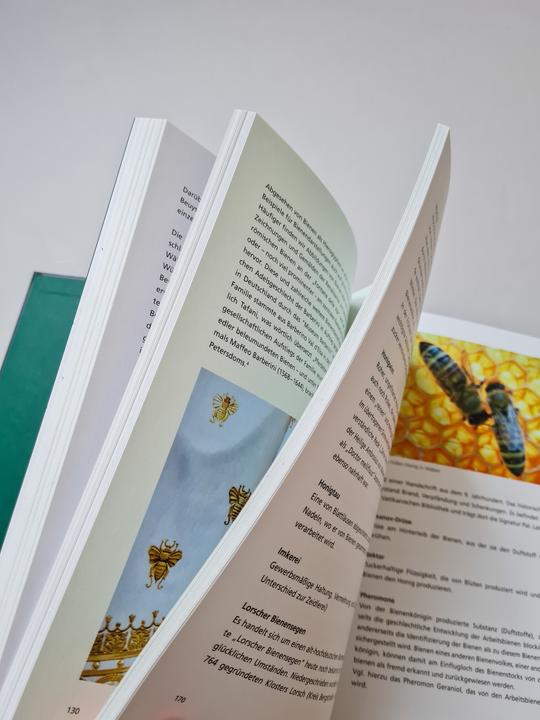 Produktbild Honig für Kunst &amp Gesellschaft (Deutsch, Felix Droese, Hartmut Kraft, Hede Buhl, Joseph Beuys, 2024)