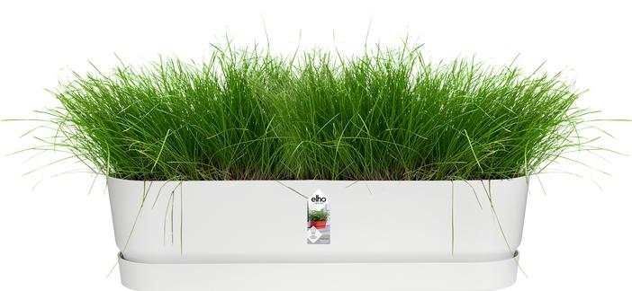 Image du produit Elho Jardinière Greenville Longue (700 cm)