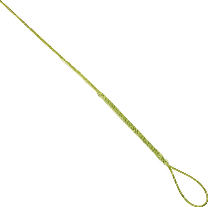 Immagine prodotto Caperlan Leader in acciaio Leader Ryderhook (40 cm)