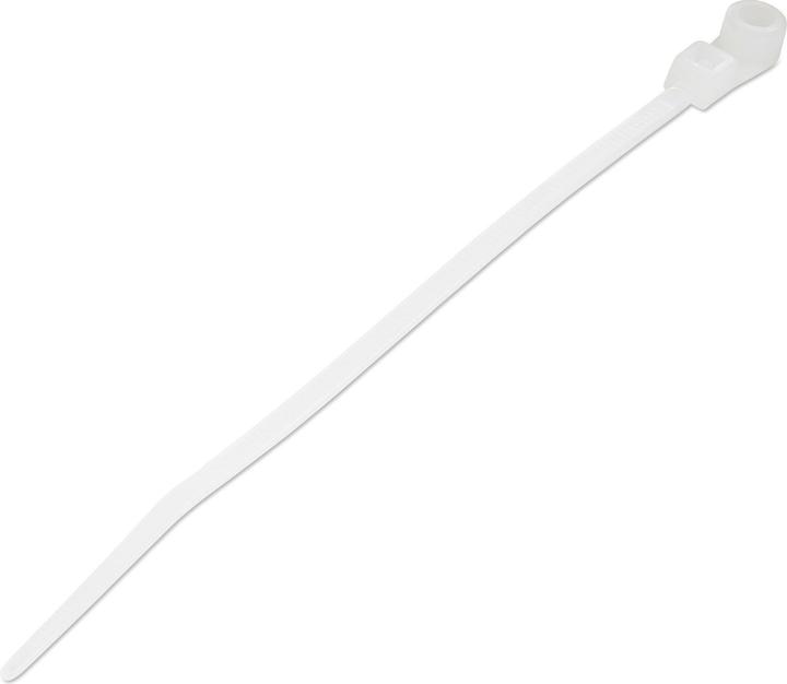Actual product image StarTech 10cm(4") Cable Ties with Mounting Hole, 2mm(1/16") wide, 24mm(7/8") Bundle Dia. (Plastic cable ties, 3 mm, 100 pcs.)
