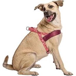 Thumbnail - MORSO Norwegian Hondentuig Gerecycled Pink Think Roze (Hund, Hundesport), Halsband + Leine