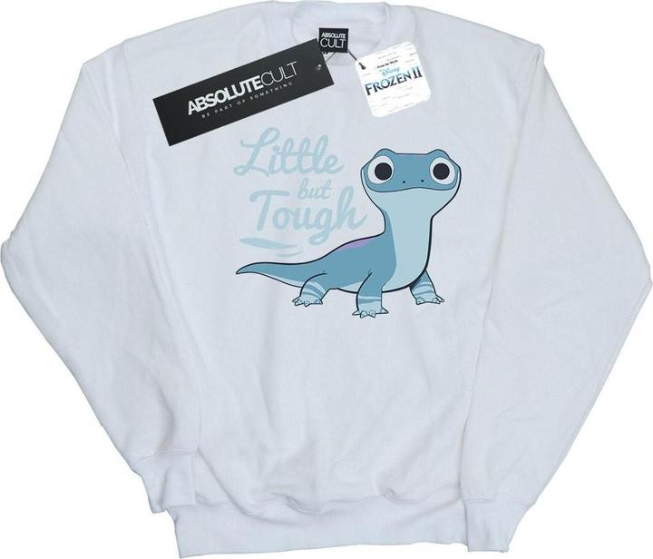 Produktbild Disney Frozen 2 Salamander Bruni Tough Sweatshirt (5XL)