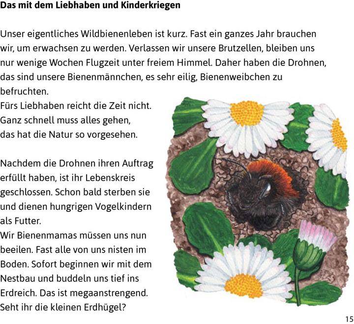 Produktbild Ach Du Liebe Biene (Deutsch, Nicola, Doris/Schöning, Schönhoff, 2022)