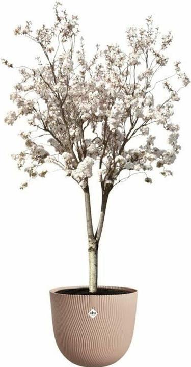 Actual product image Elho Sereh Rund