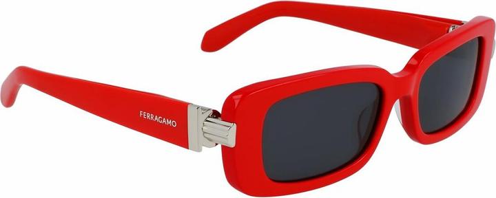 Image du produit Salvatore Ferragamo Ladies' Sunglasses SF1105S-5217600 Ã˜ 52 mm