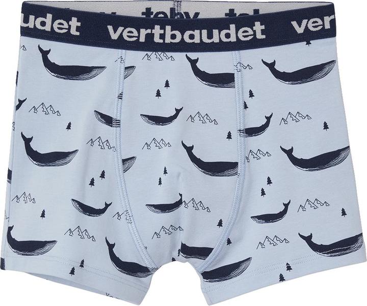 Image du produit Vertbaudet Unterwaesche Unten (98, Pack de 5)