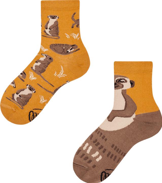 Actual product image Many Mornings The Meerkat (Single pack, 27 - 30)