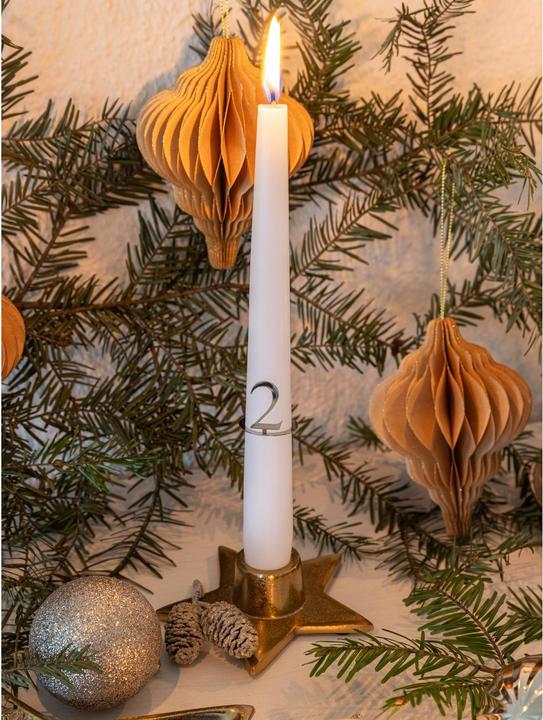 Image du produit Cocon Décoration de Noël Cône d'aulne, Blanc