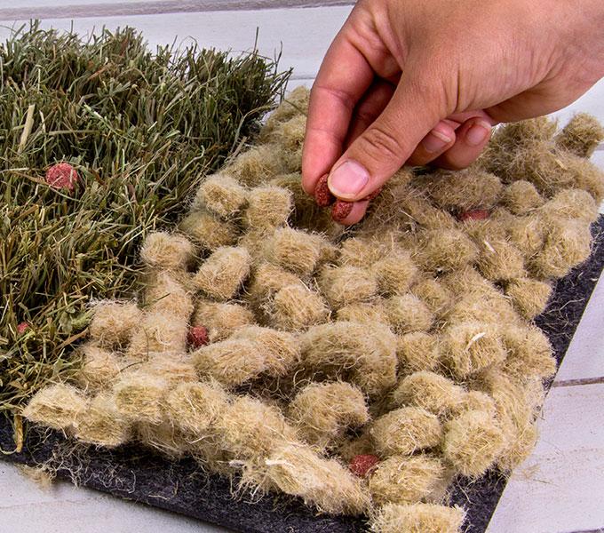 Actual product image Bunny Sniffing Mat InterActive